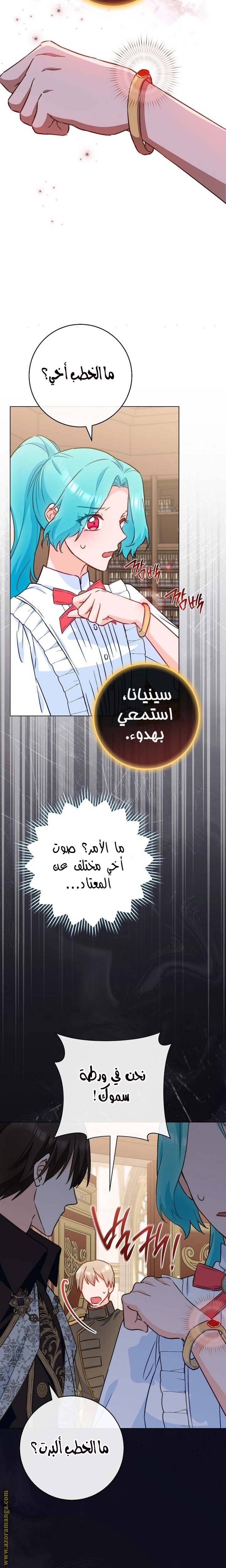 الصفحة 27