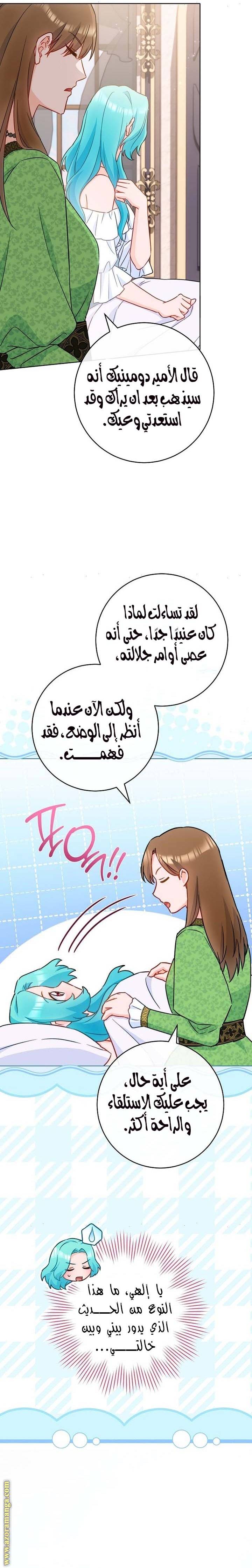 الصفحة 17