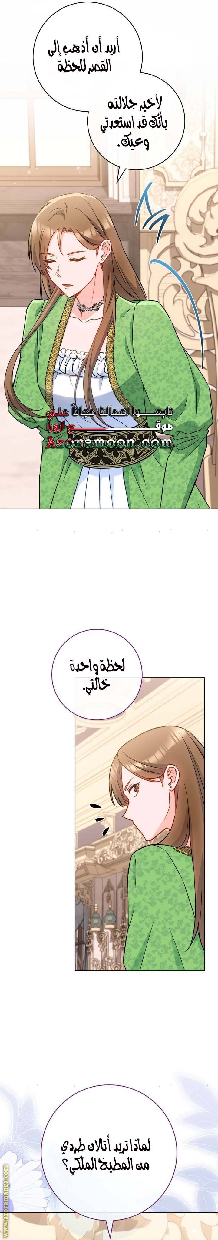 الصفحة 19