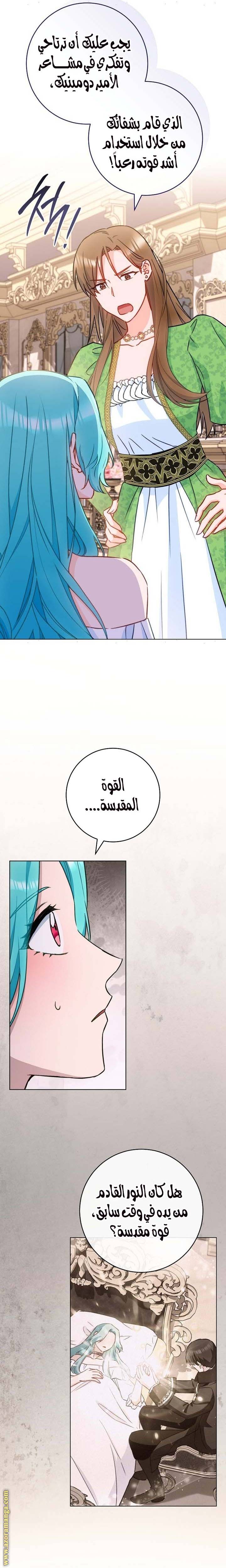 الصفحة 25