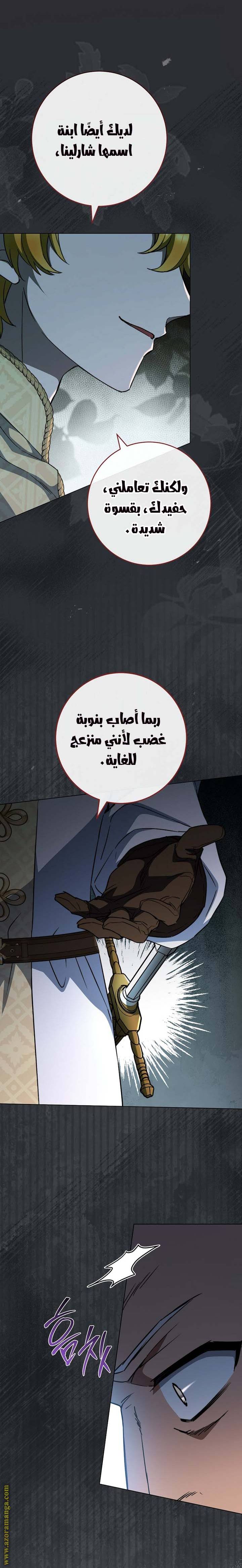 الصفحة 17