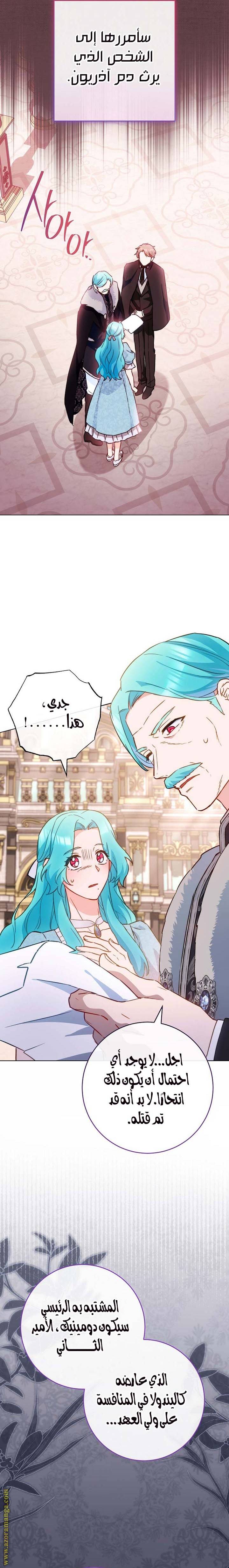 الصفحة 29