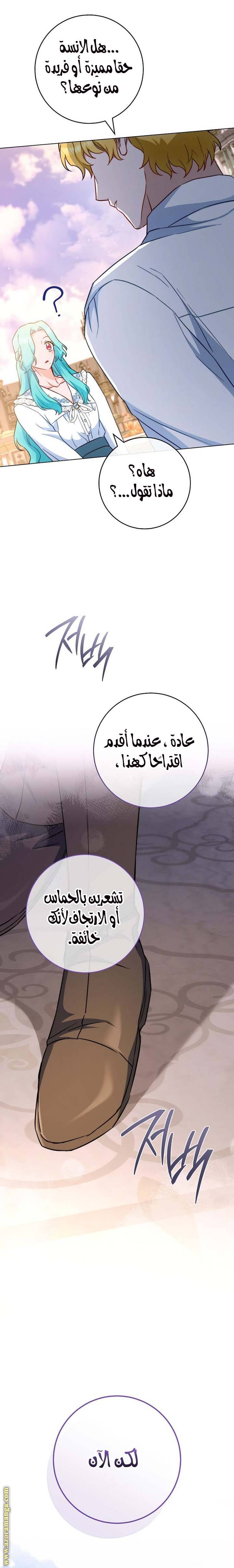 الصفحة 17