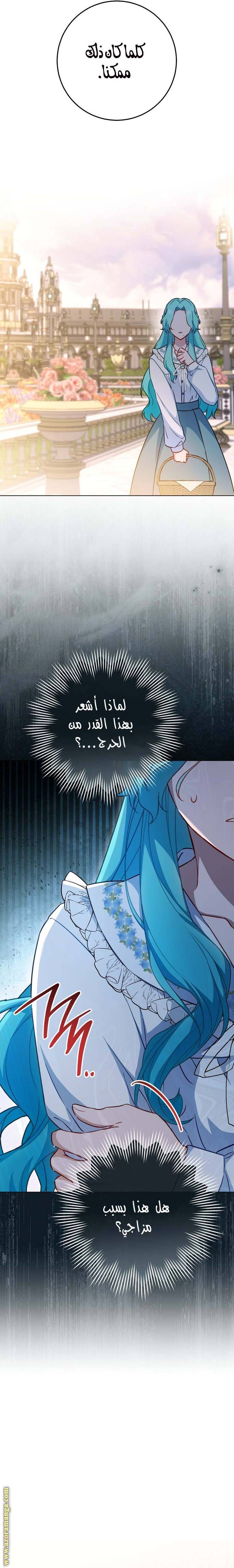 الصفحة 21