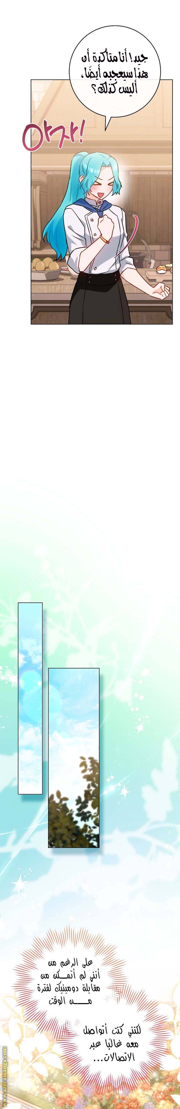 الصفحة 28