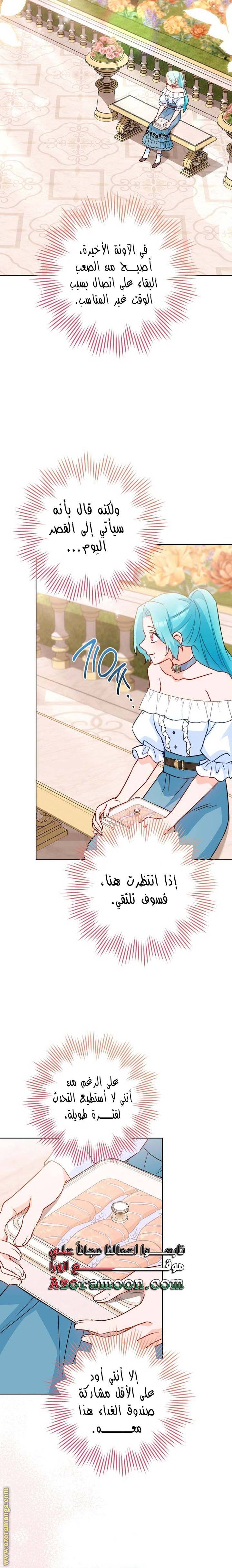 الصفحة 29
