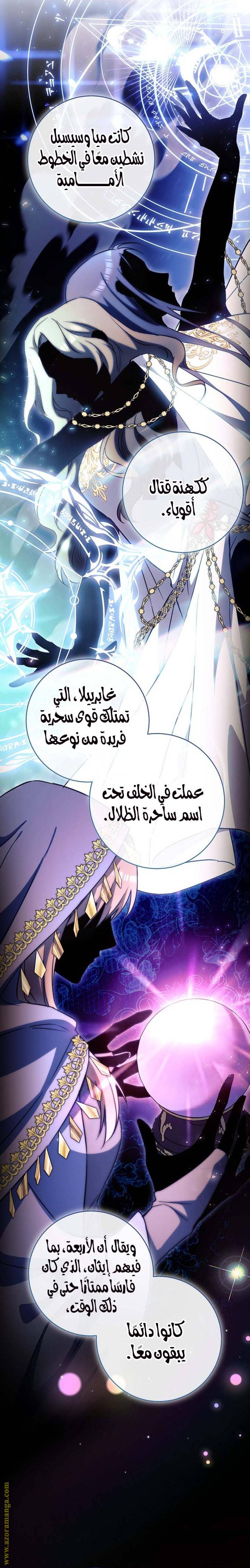 الصفحة 17