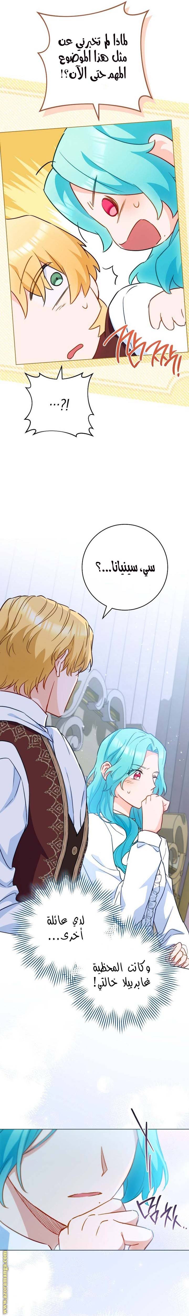 الصفحة 24