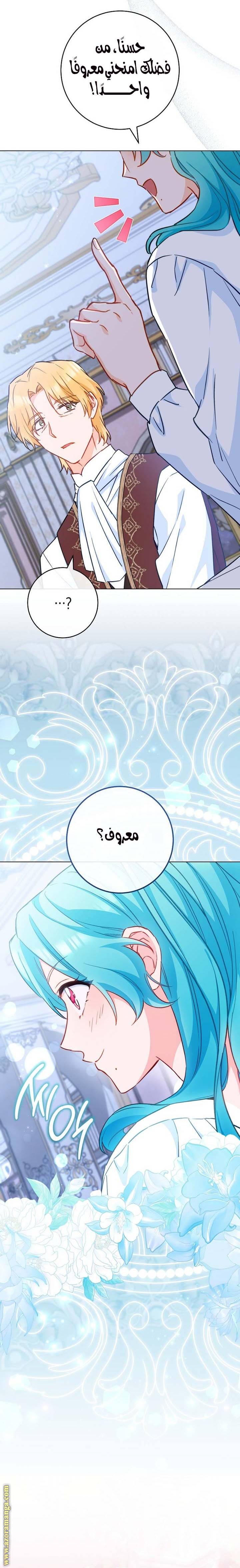 الصفحة 26