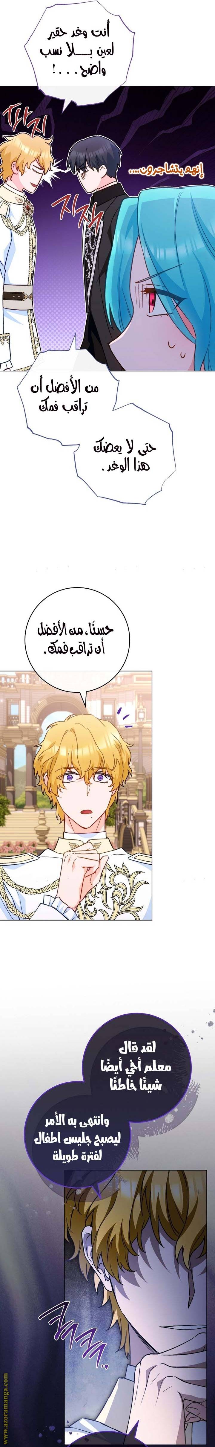 الصفحة 17