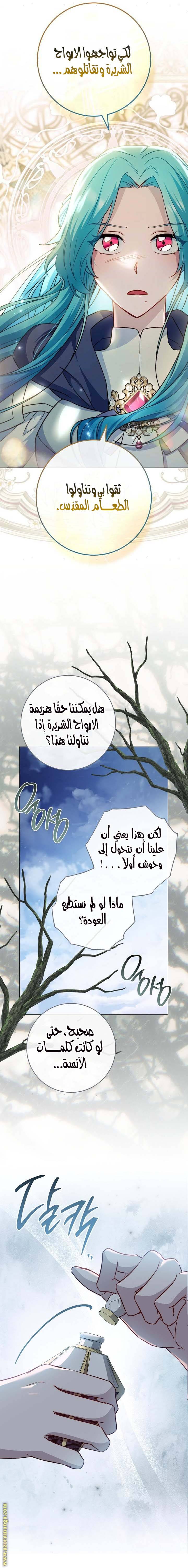 الصفحة 11