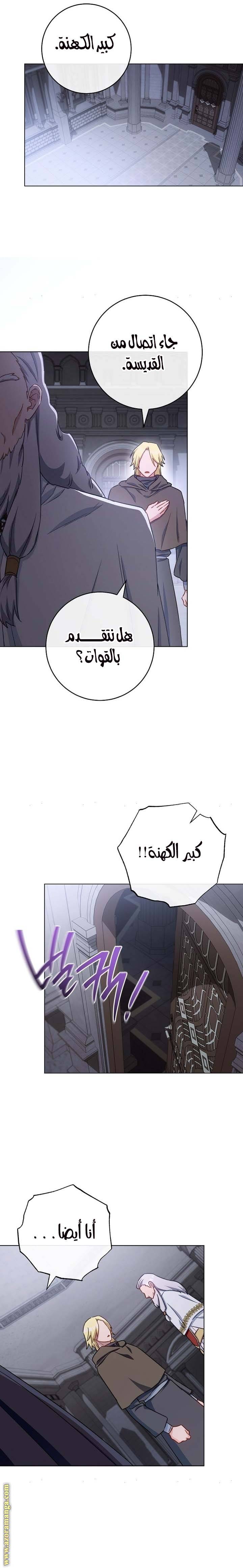 الصفحة 17