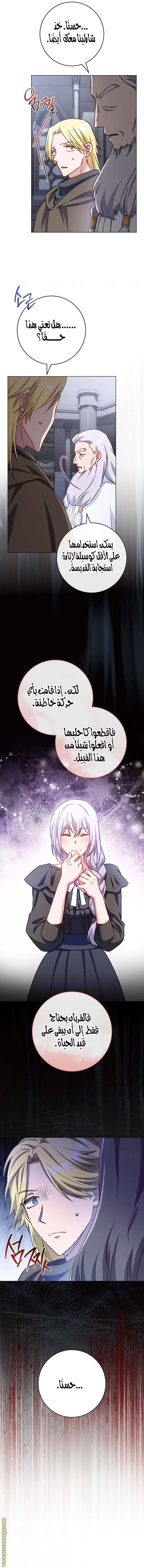 الصفحة 20