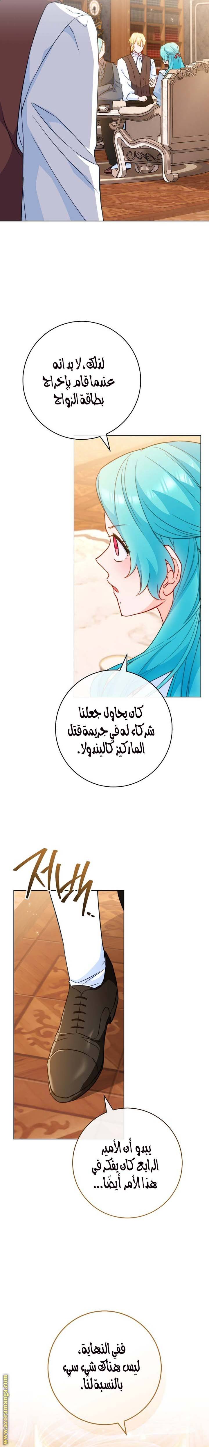 الصفحة 17