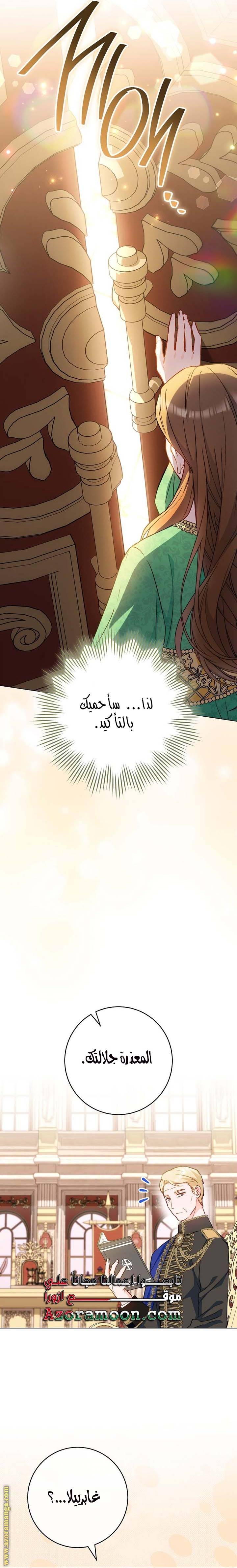 الصفحة 25