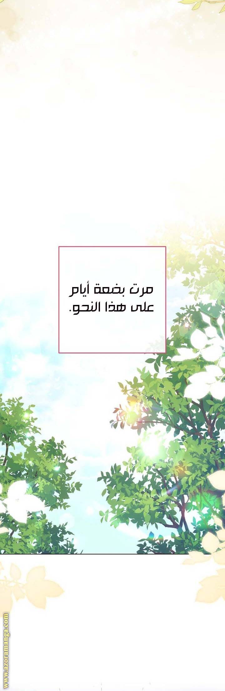الصفحة 27