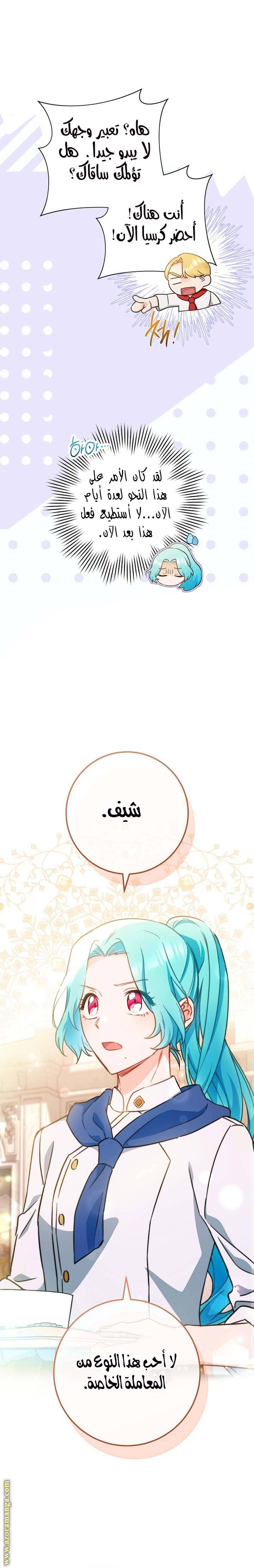 الصفحة 17