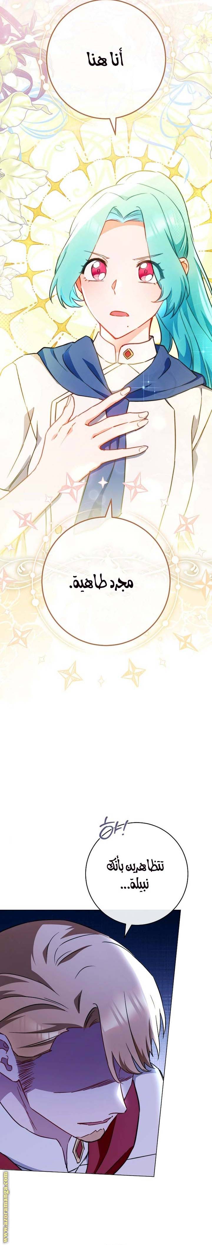 الصفحة 21