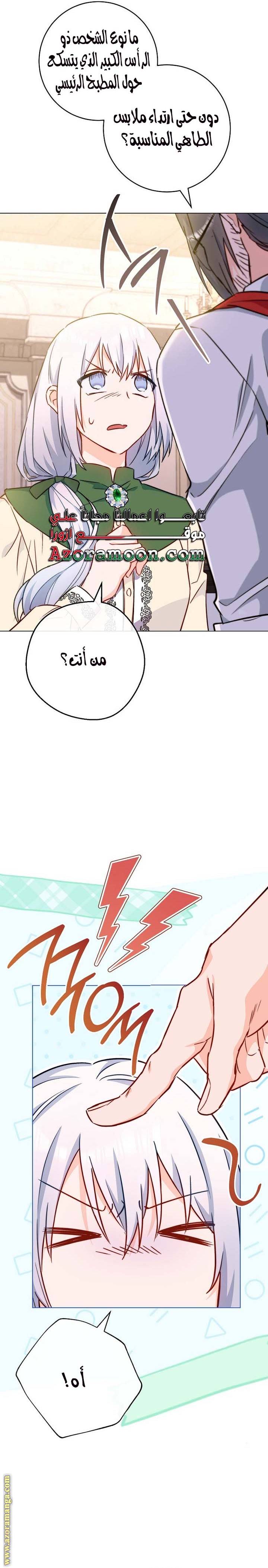 الصفحة 29