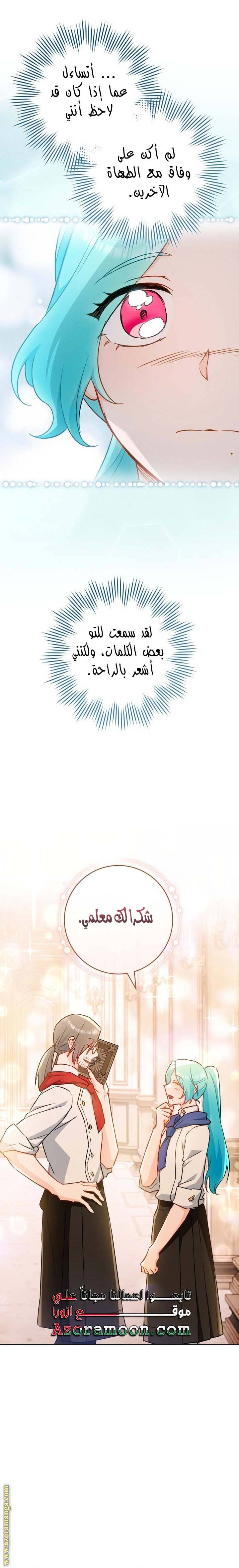 الصفحة 13