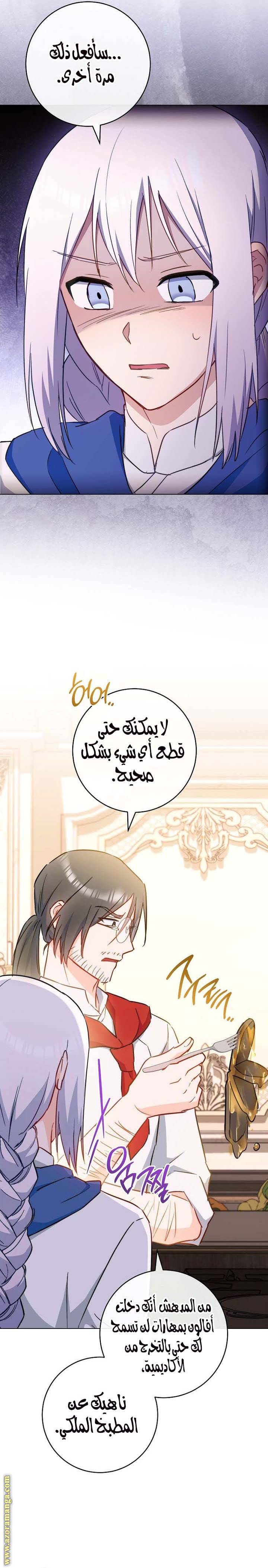 الصفحة 17