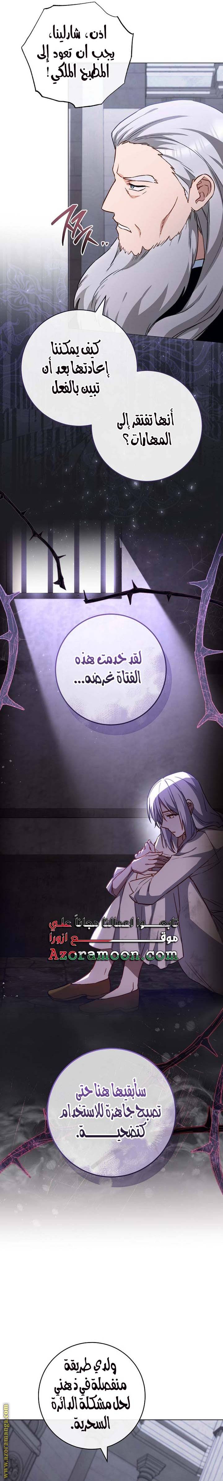 الصفحة 13