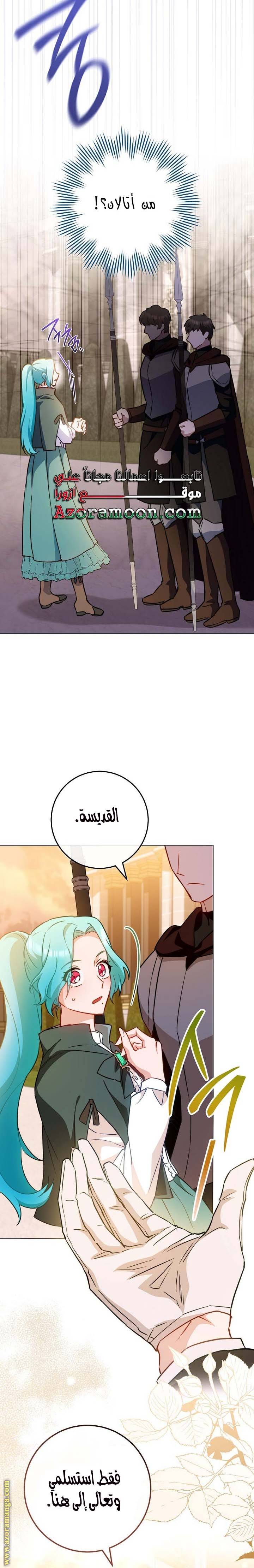 الصفحة 24
