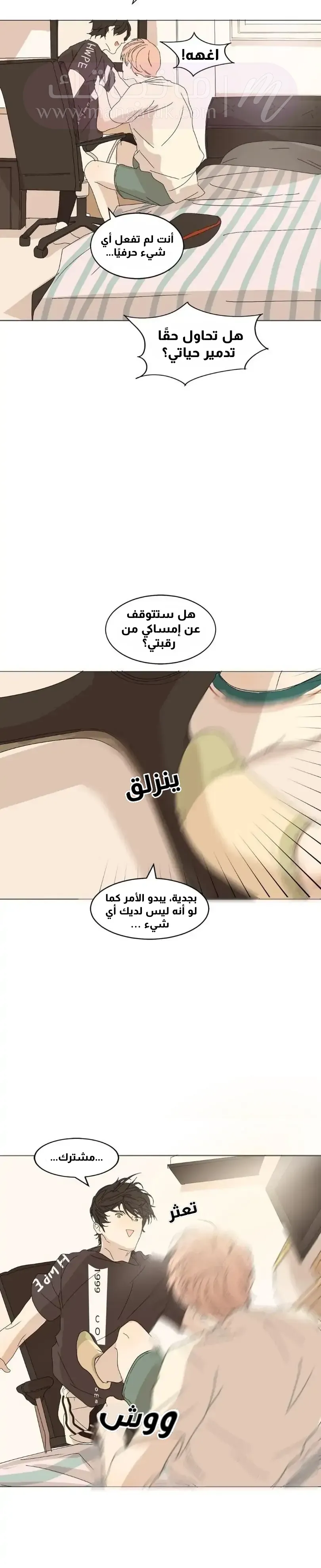 الصفحة 19