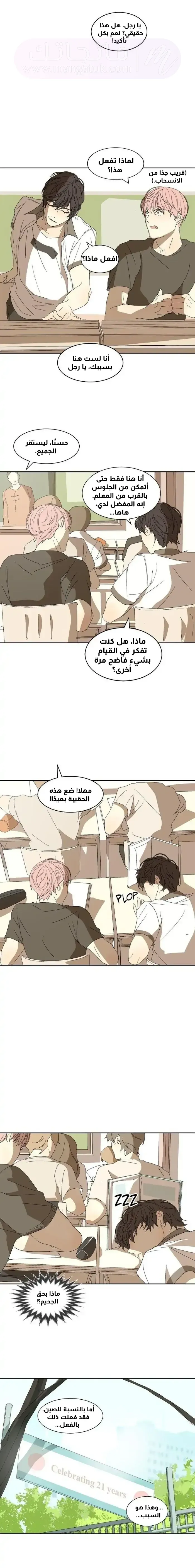 الصفحة 14