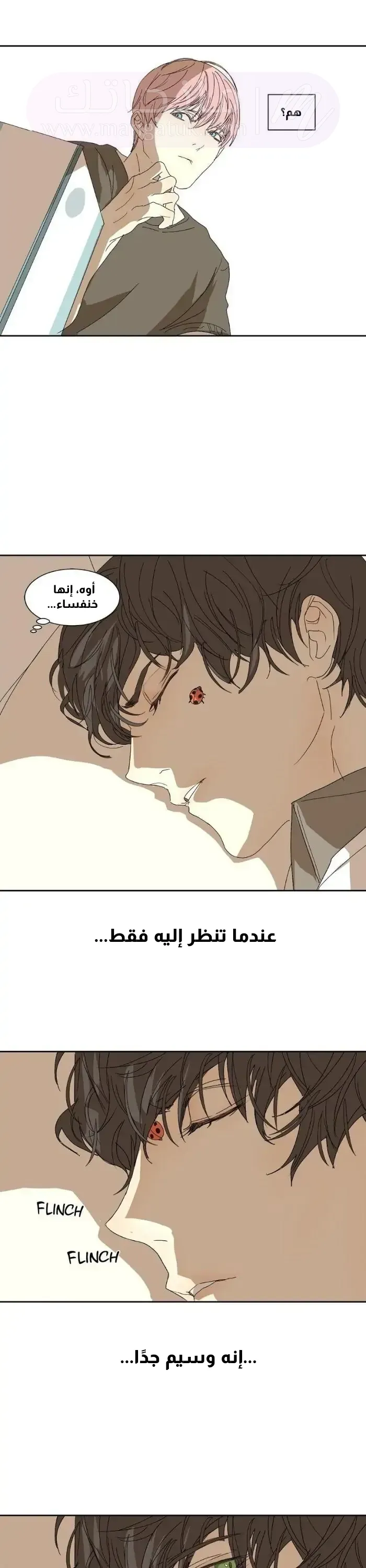 الصفحة 15