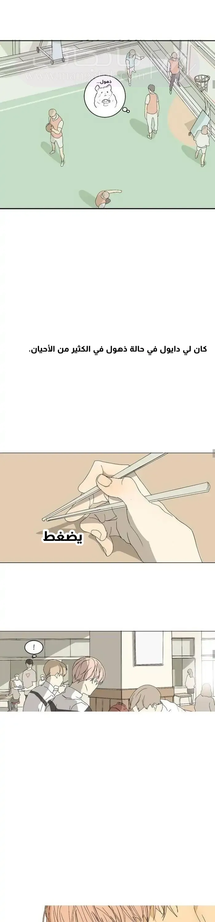 الصفحة 13