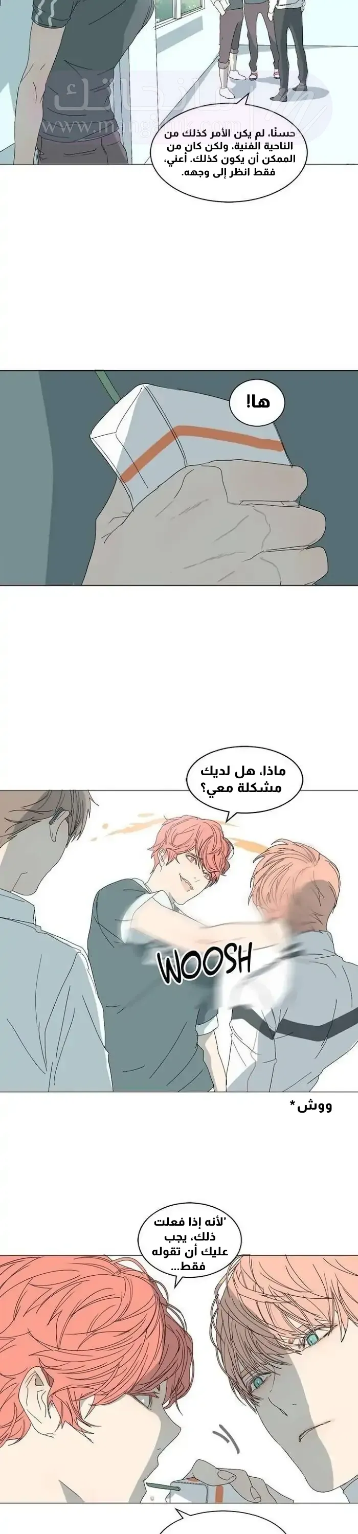 الصفحة 17