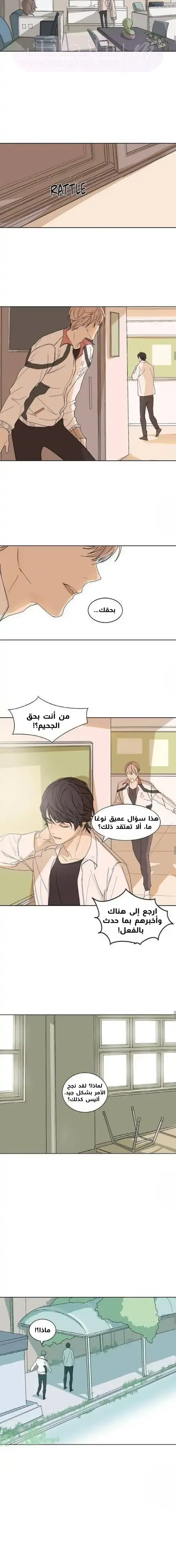 الصفحة 11