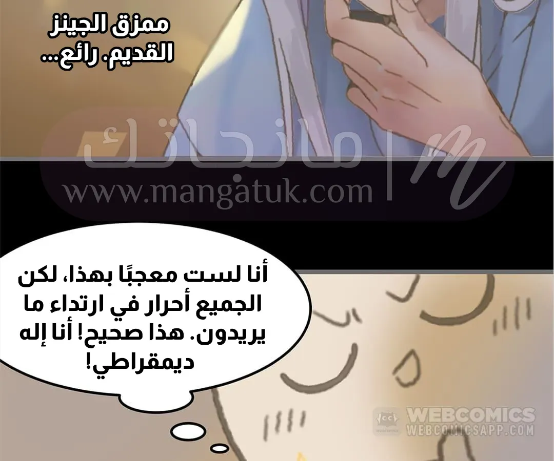 الصفحة 13