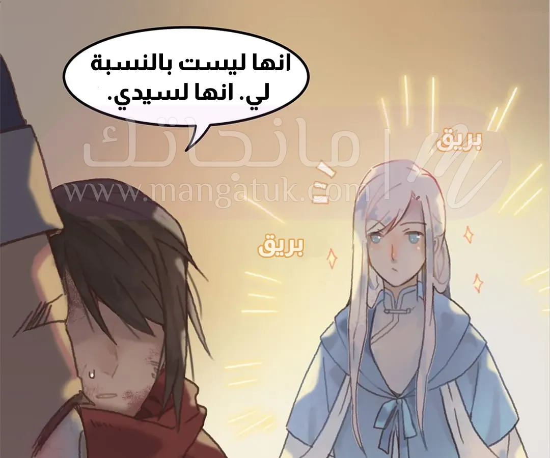 الصفحة 17