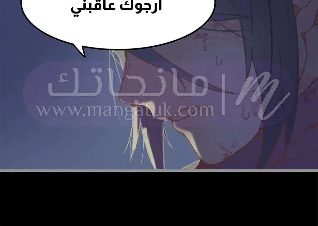 الصفحة 41