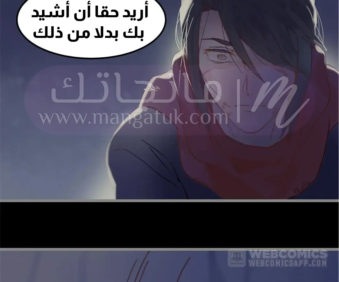 الصفحة 43