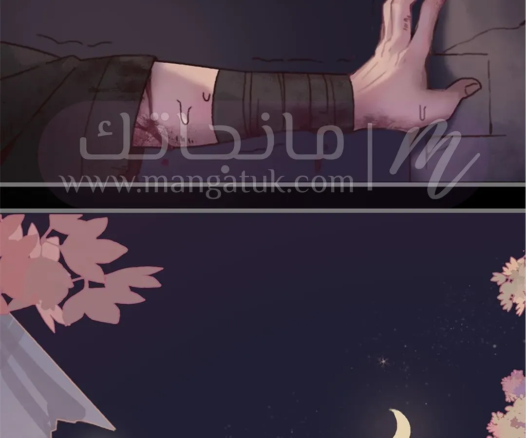 الصفحة 19