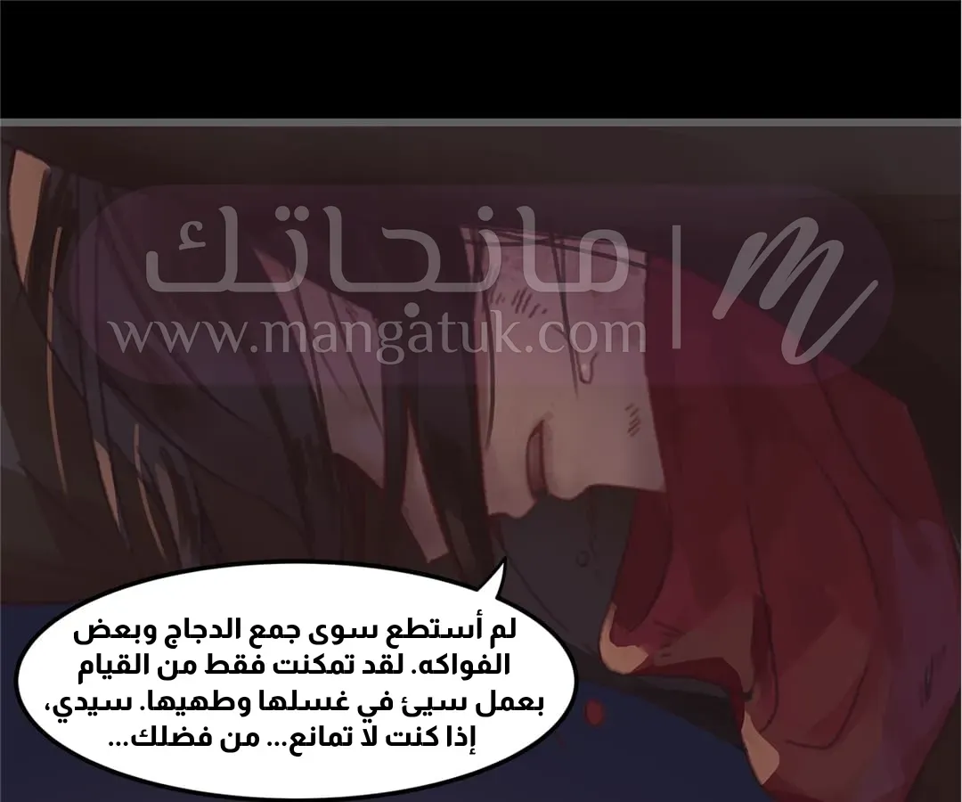 الصفحة 24