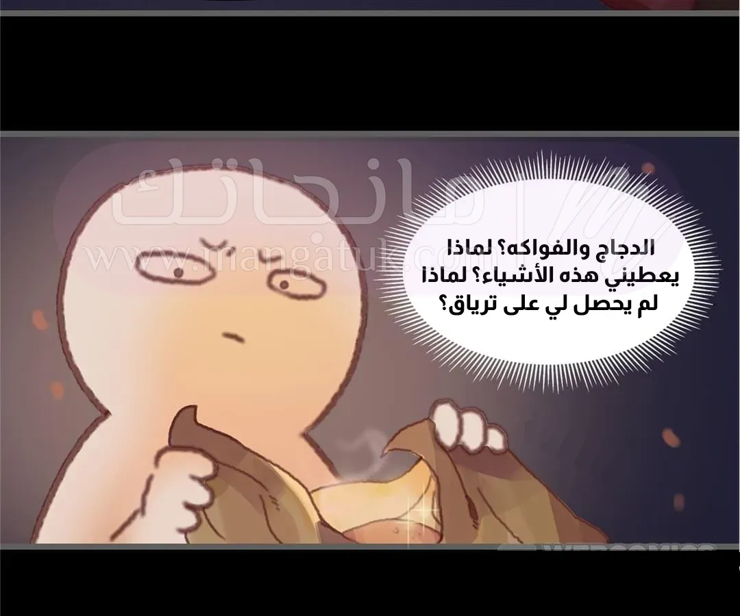 الصفحة 25