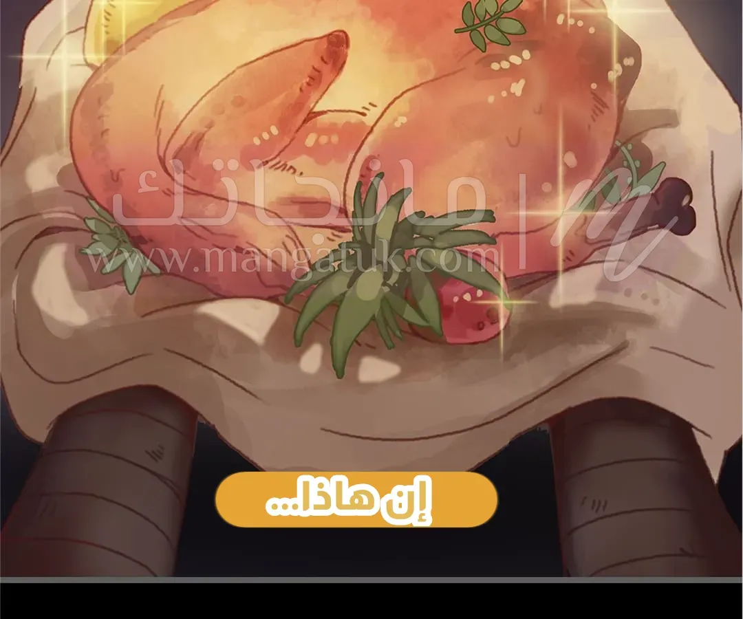 الصفحة 27