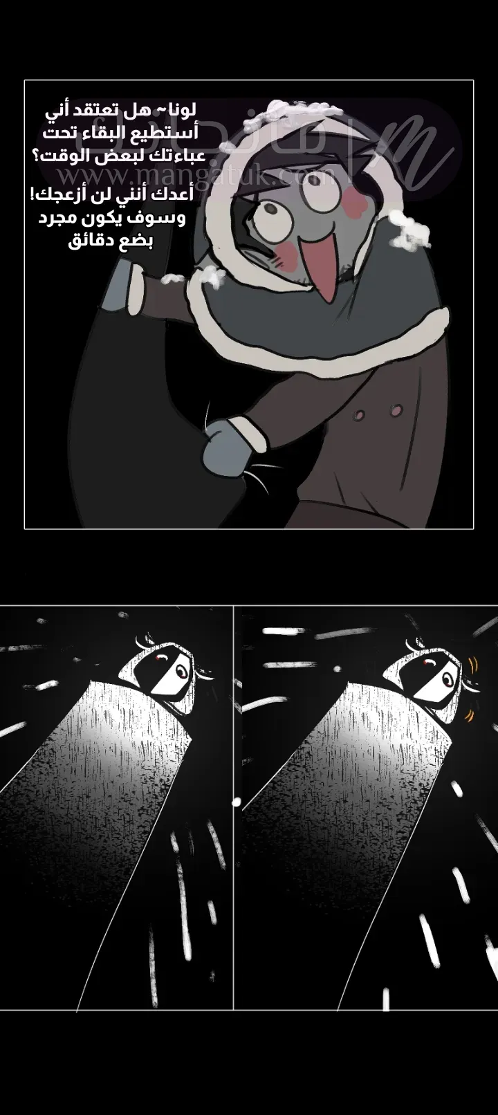 الصفحة 13