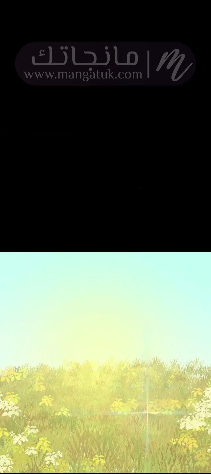 الصفحة 20