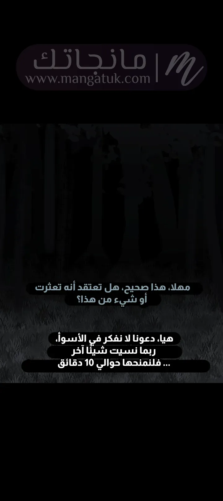 الصفحة 13