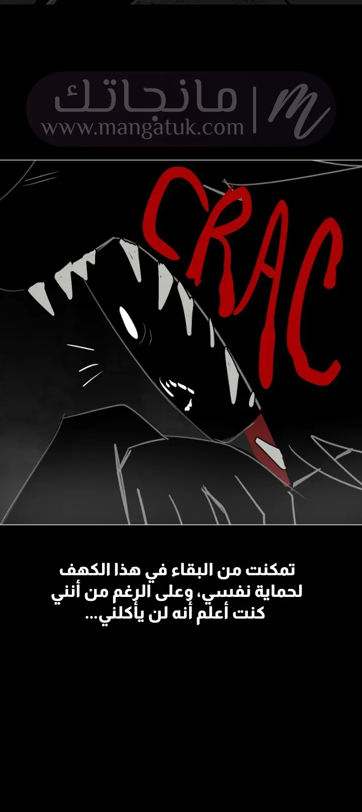 الصفحة 29