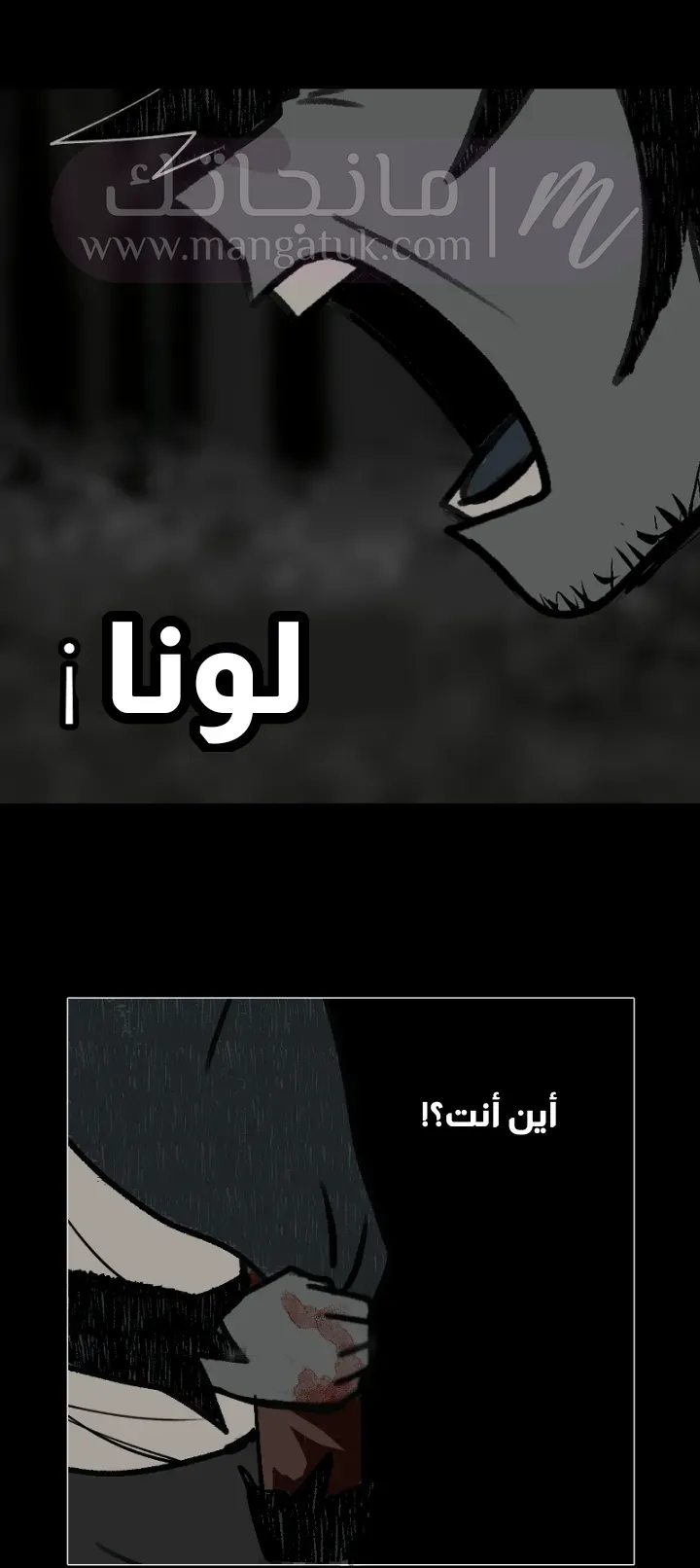 الصفحة 13