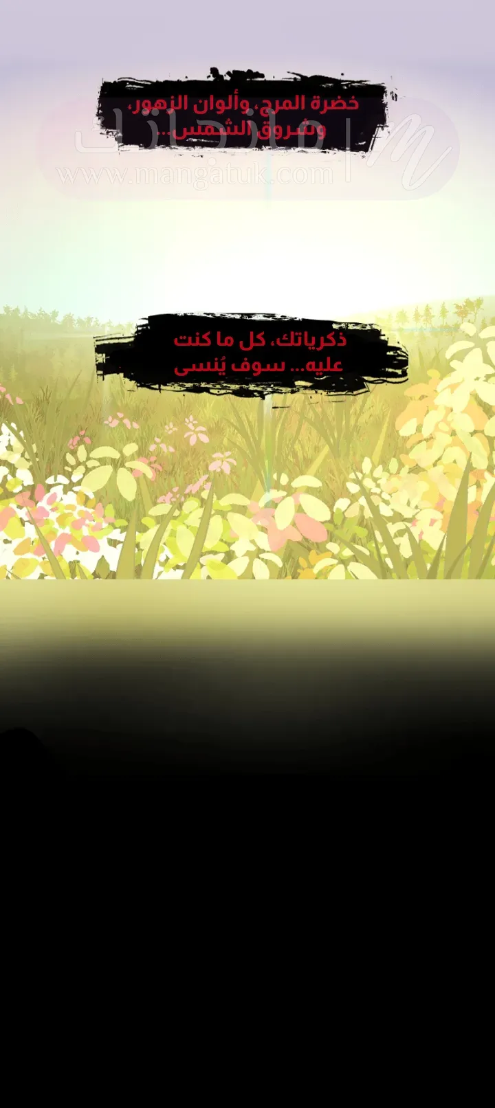 الصفحة 24