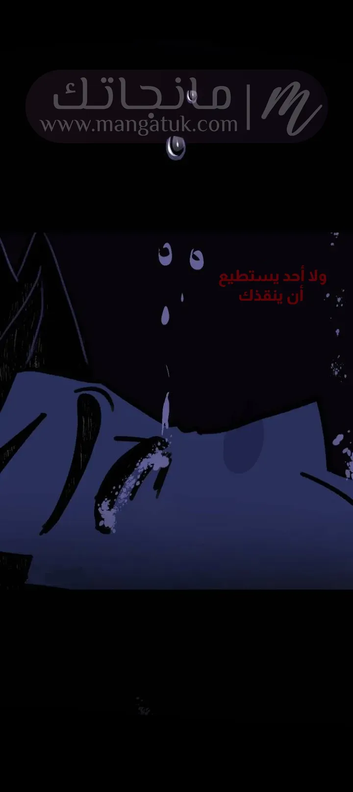 الصفحة 19