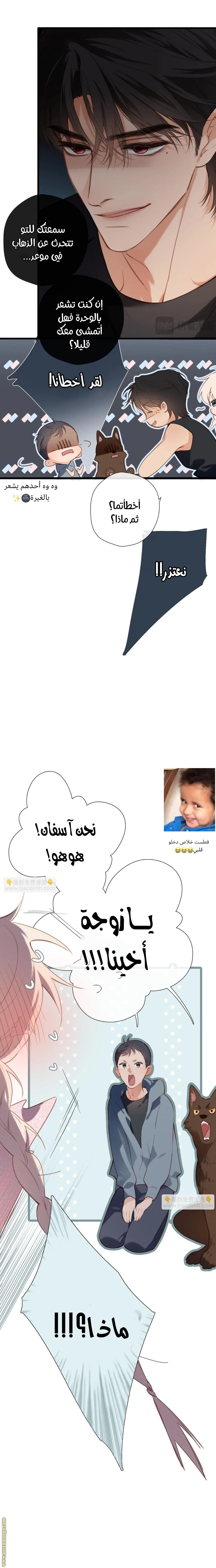 الصفحة 11