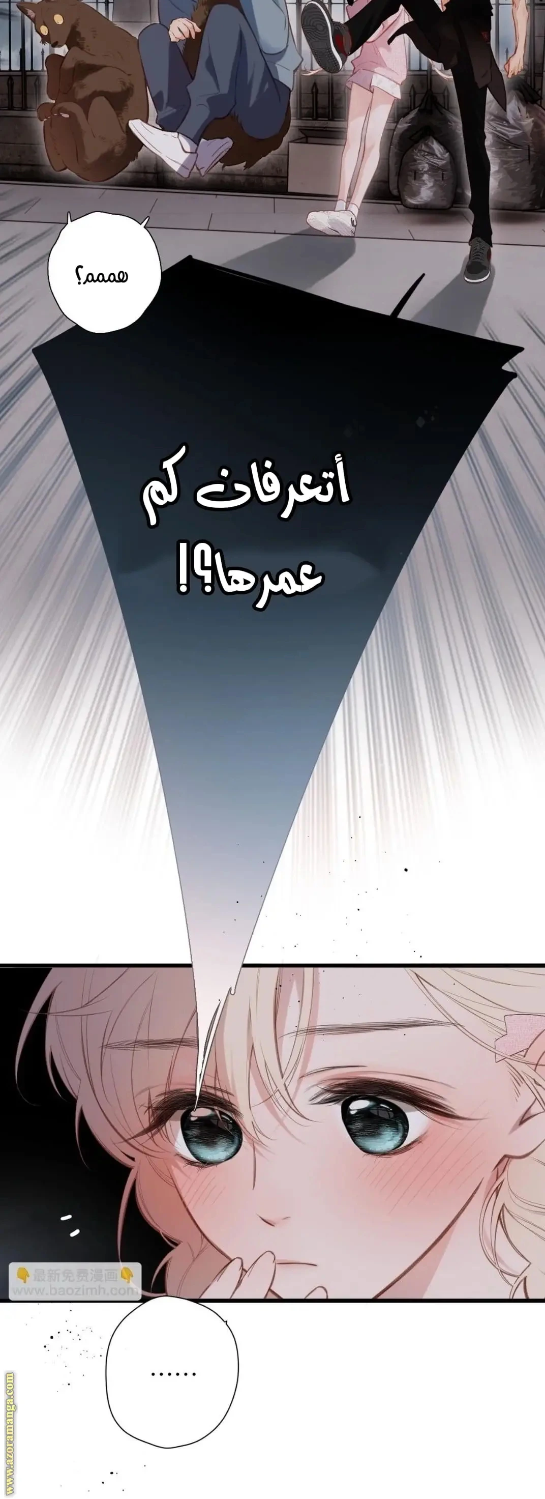 الصفحة 5